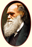 darwin