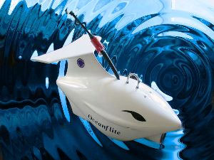 oceanflite dolphin rov