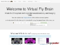 Virtual Fly Brain