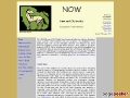 NOW - Neogene Mammal Database