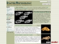 Digital Morphology Library of the University of Texas