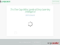 The Five Capability Levels of Deep Learning Intelligence