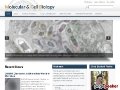 Department of Molecular and Cell Biology at UC Berkeley
