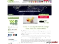 Global Energy Network Institute (GENI)